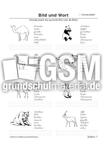 BuW Zootiere7.pdf